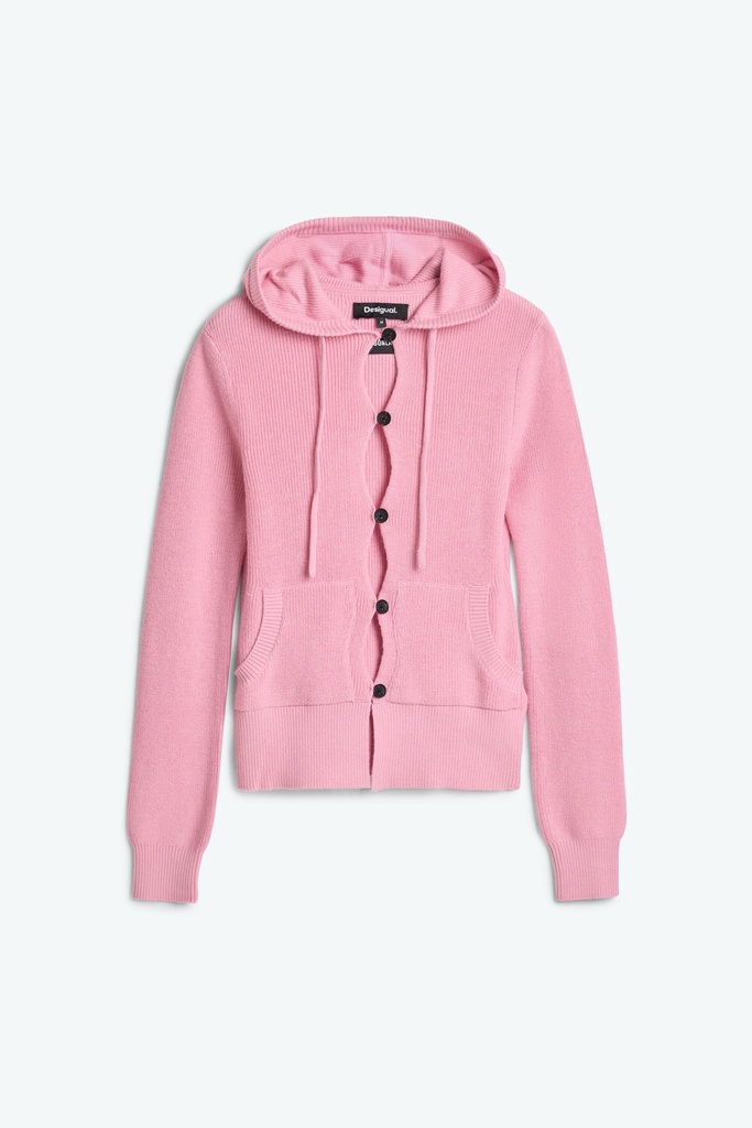 JERS_BREST_EGONLAB 3049 ROSA