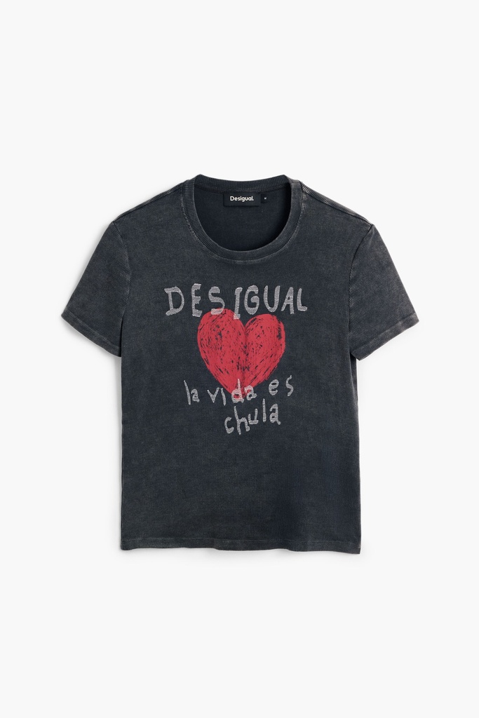 REPRIS_TS_CHULA 2002 ANTRACITA