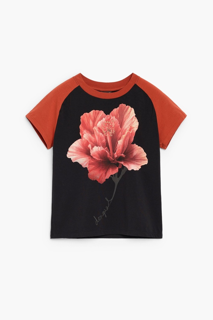 TS_TEBAS 2000 NEGRO