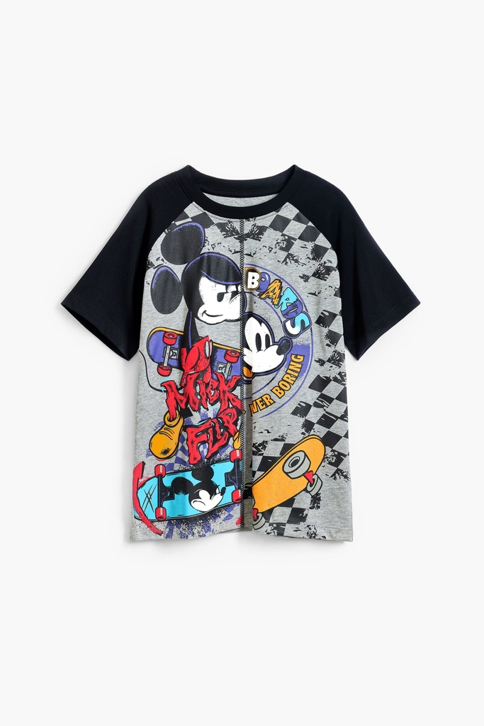 TS_SKATE_ 2042 GRIS VIGORE CLARO