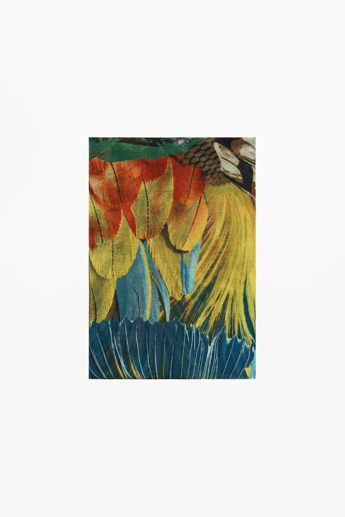 REPRIS_FOU_BUTTERFL 9019 TUTTI FRUTI