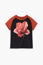 TS_TEBAS 2000 NEGRO
