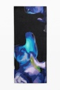 FOU_DEGRADE BLUE 5000 NAVY